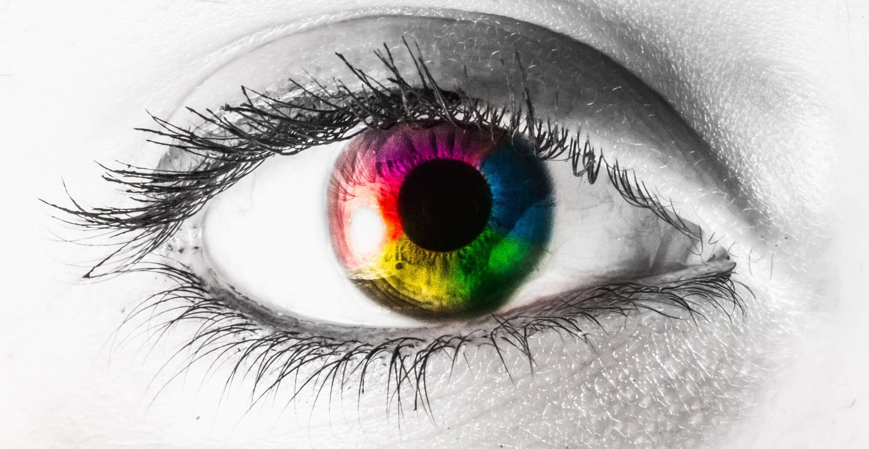 River Effra - Latest Research